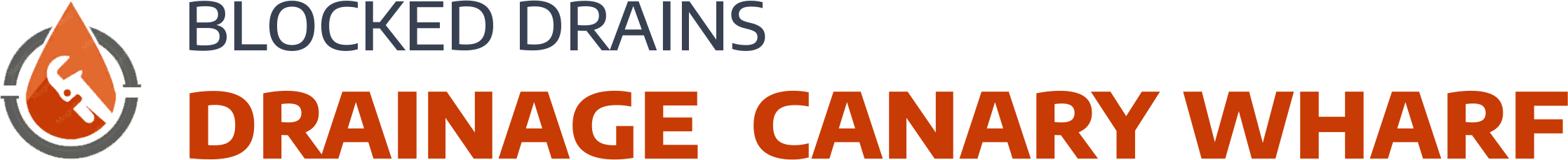 website logo